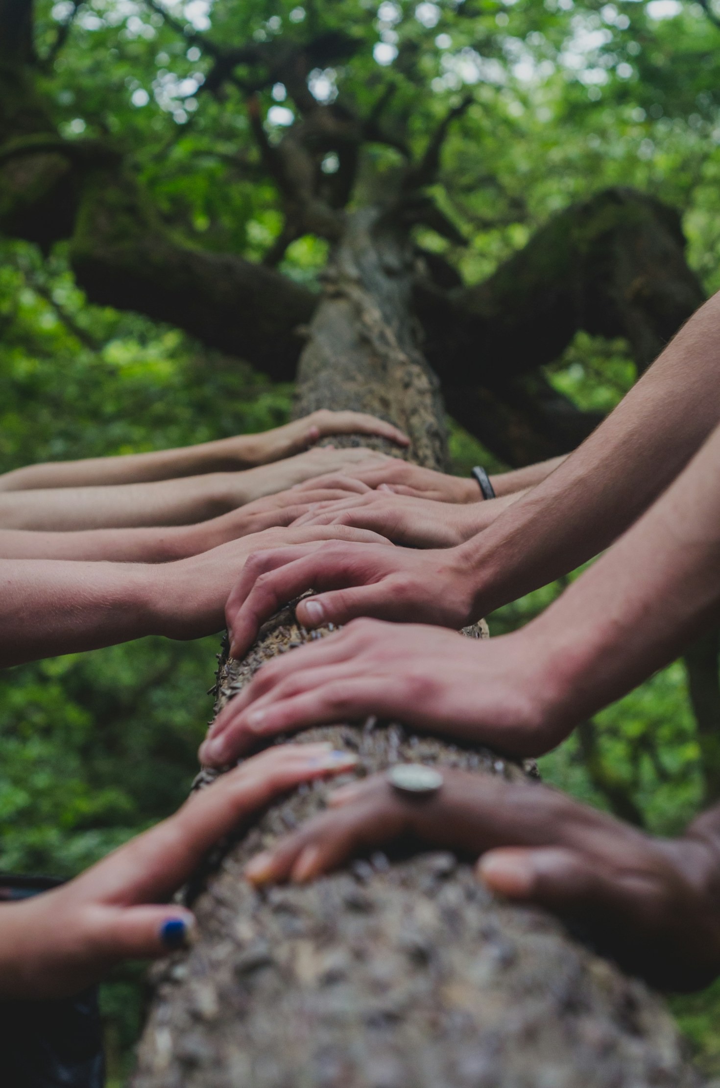 Learning disability vs. learning difficulty: how are they different?